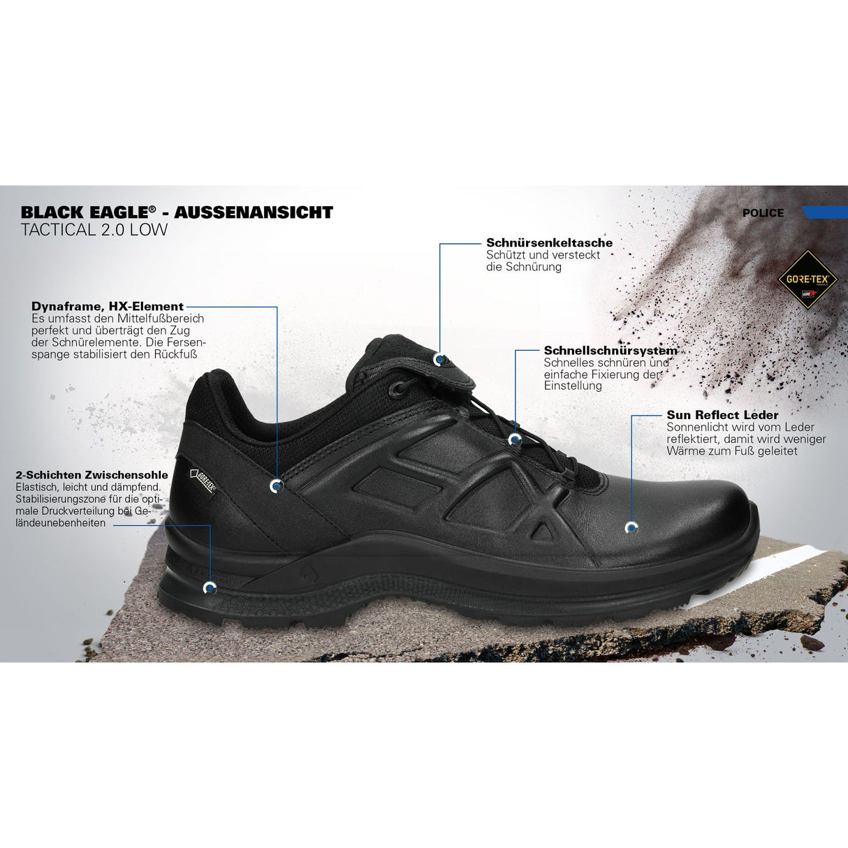 BLACK EAGLE Tactical 2.1 GTX low/black