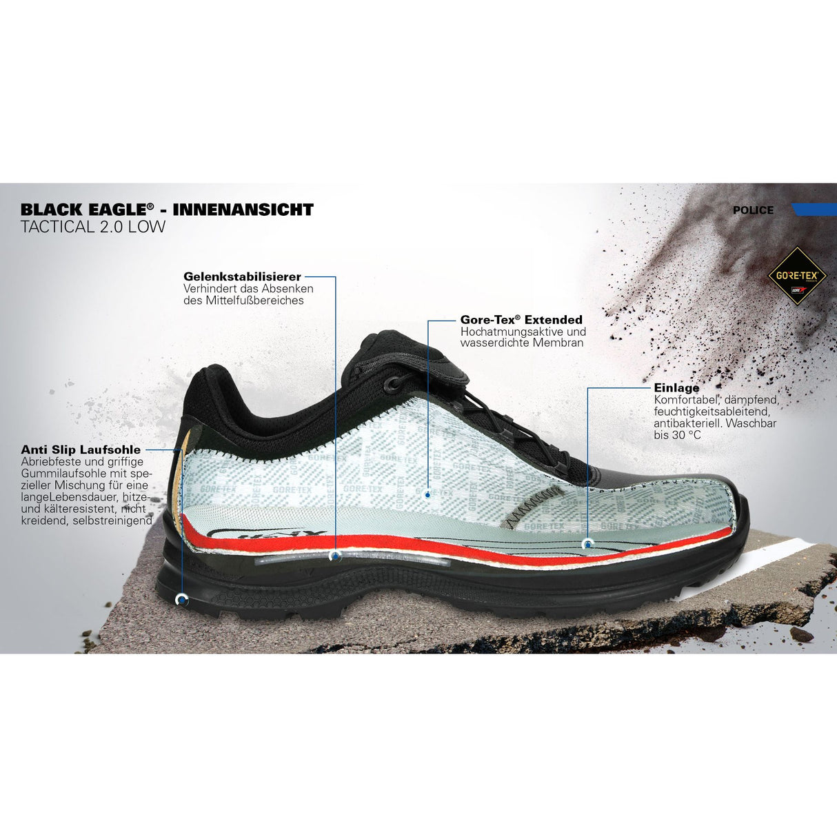 BLACK EAGLE Tactical 2.1 GTX low/black