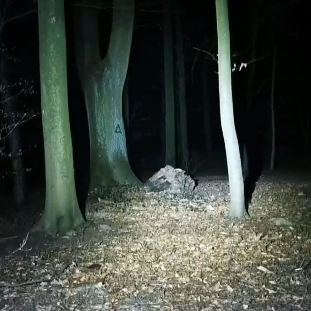 Nextorch Taschenlampe TA30 Gen2 1300 Lumen - Polizeimemesshop