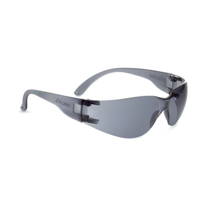 Bollé Schutzbrille BL30 Smoke