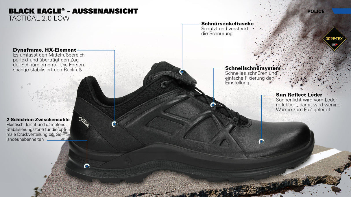 BLACK EAGLE Tactical 2.1 GTX low/black