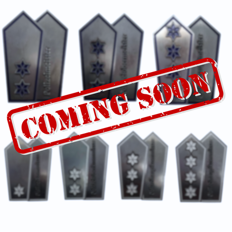 Polizei Schulterklappen Dienstgrad Coins